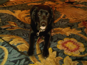 Catie ready to go home after a hard day at work Catie ready to go home after a hard day at work