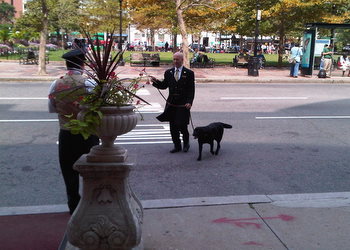 Catie returning from a walk in the park